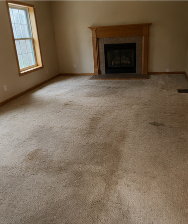 Living room before renovation &mdash; stained carpet and dated wood-trimmed fireplace